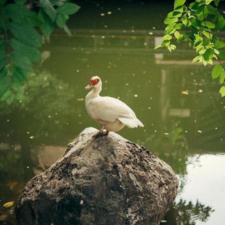Chompor Lanna Hotel Chiang Mai Eksteriør billede