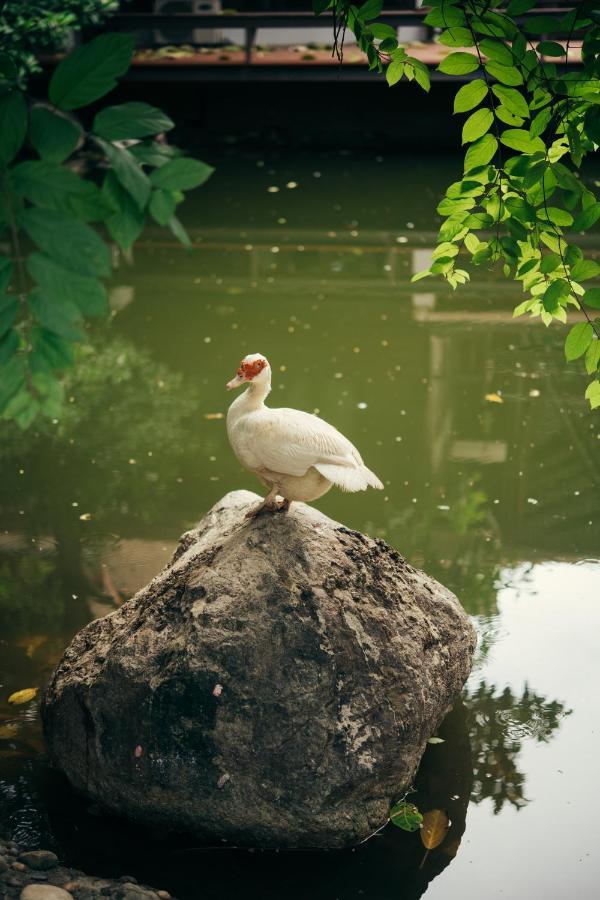 Chompor Lanna Hotel Chiang Mai Eksteriør billede