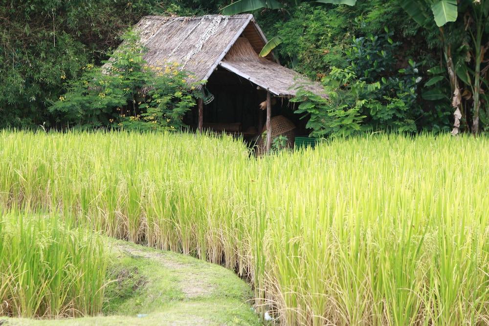 Chompor Lanna Hotel Chiang Mai Eksteriør billede