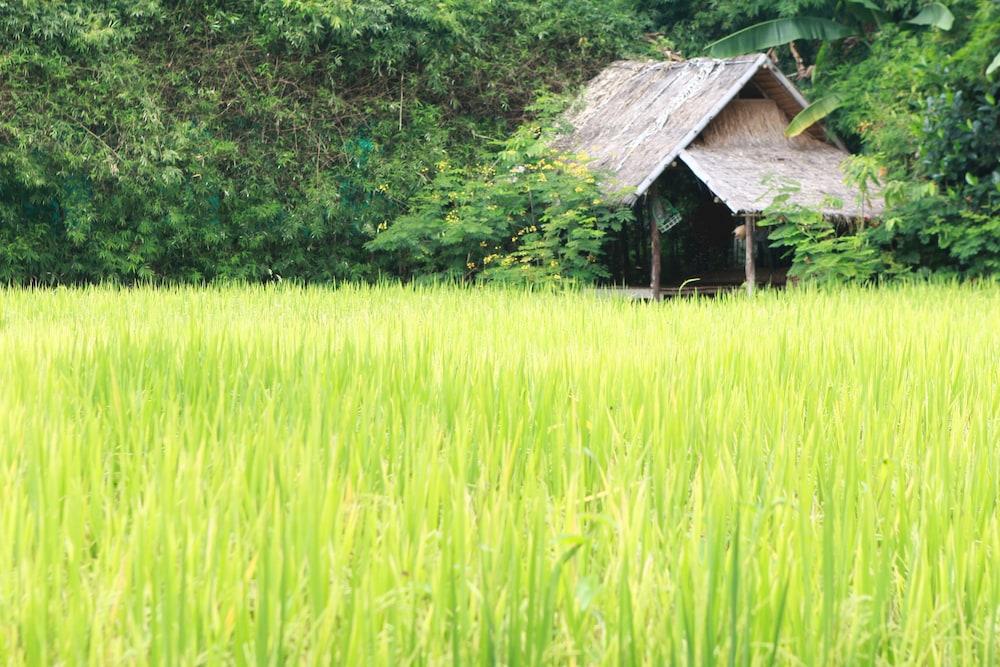 Chompor Lanna Hotel Chiang Mai Eksteriør billede